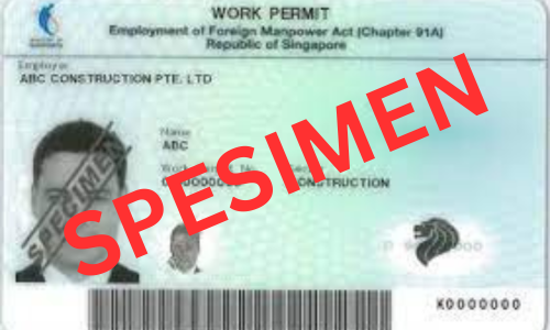 contoh work permit